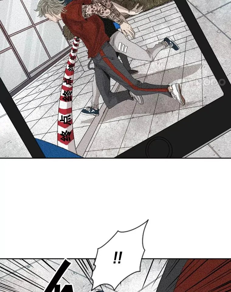132.第1轮预赛 第44页