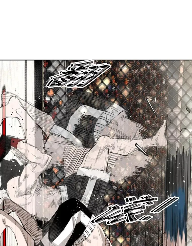 152.柔术对抗泰拳 第2页