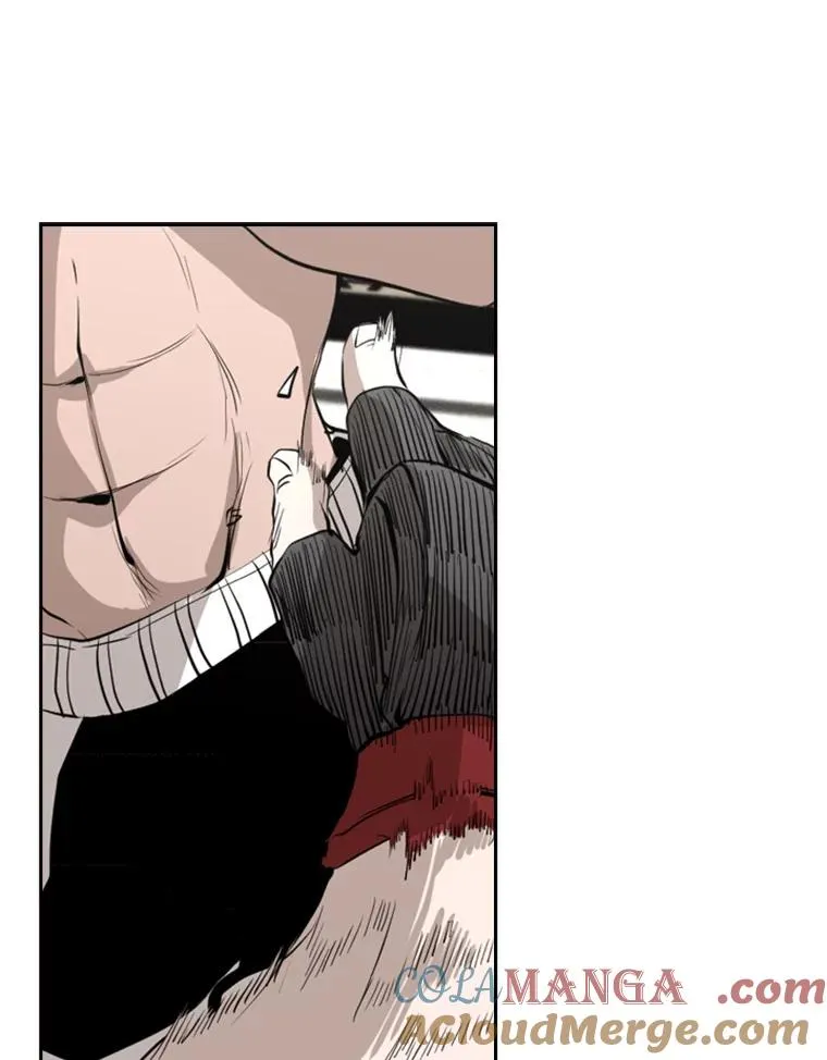 152.柔术对抗泰拳 第13页