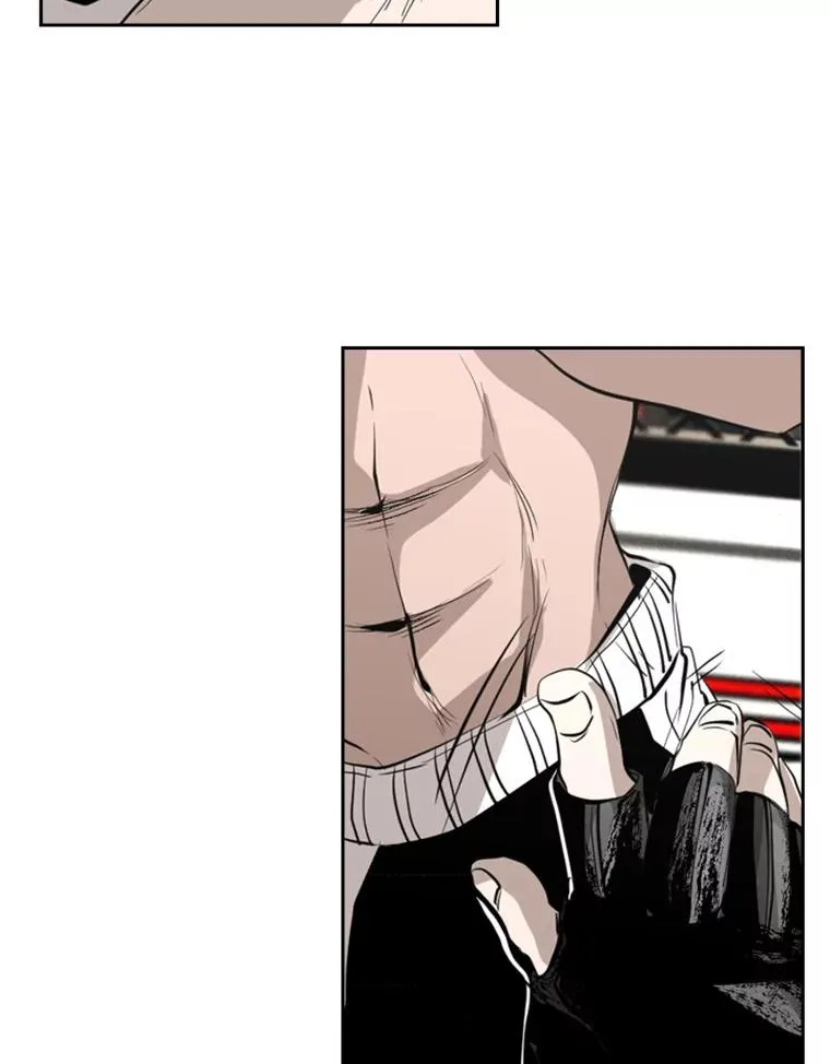 152.柔术对抗泰拳 第14页