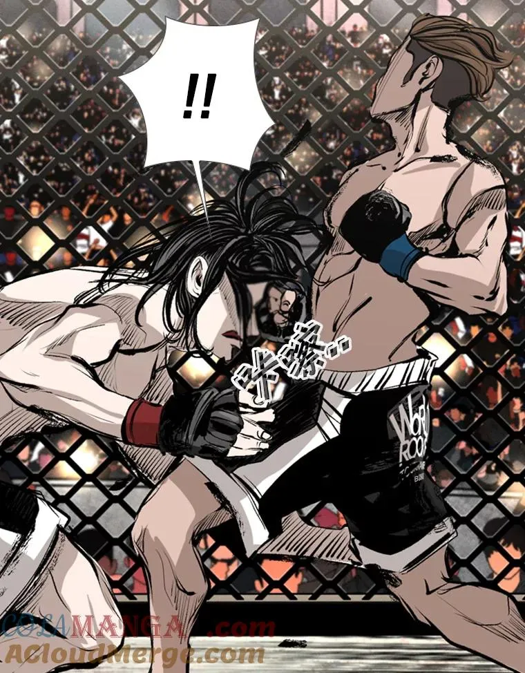 152.柔术对抗泰拳 第16页