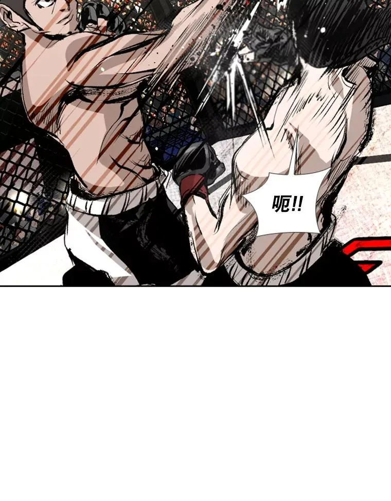 152.柔术对抗泰拳 第18页