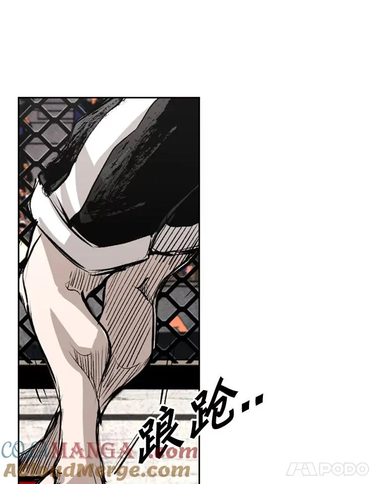 152.柔术对抗泰拳 第19页