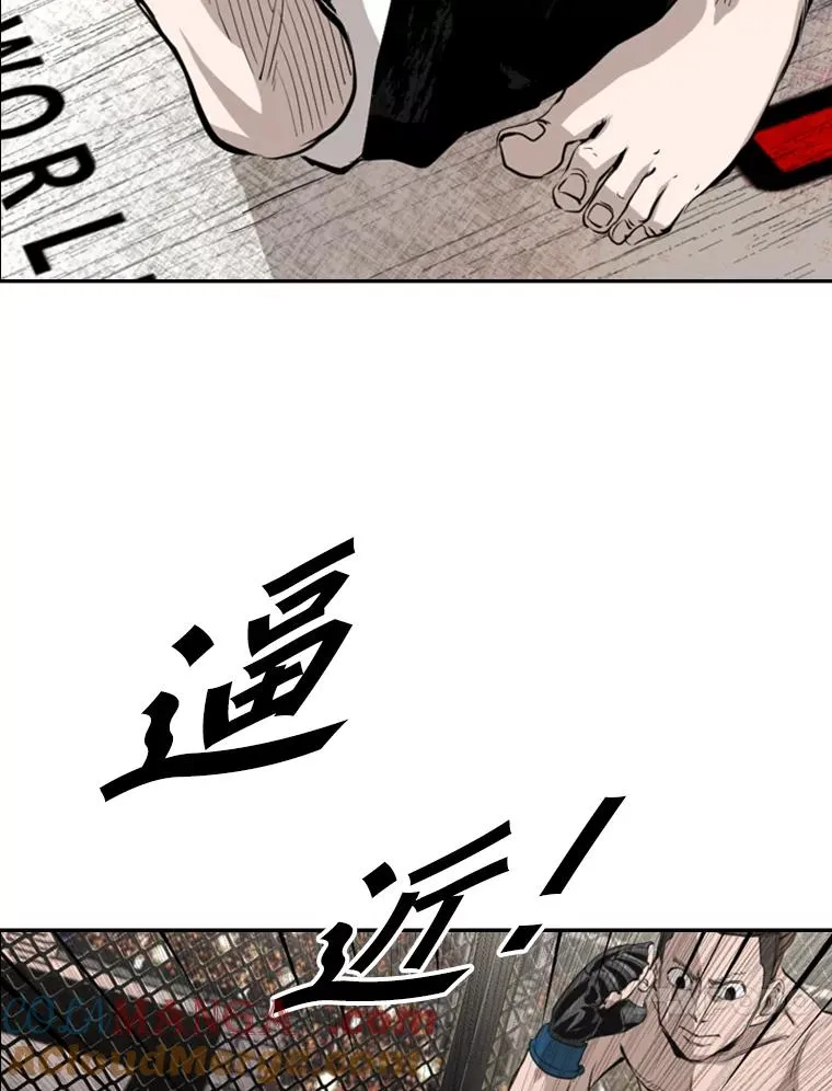 152.柔术对抗泰拳 第28页