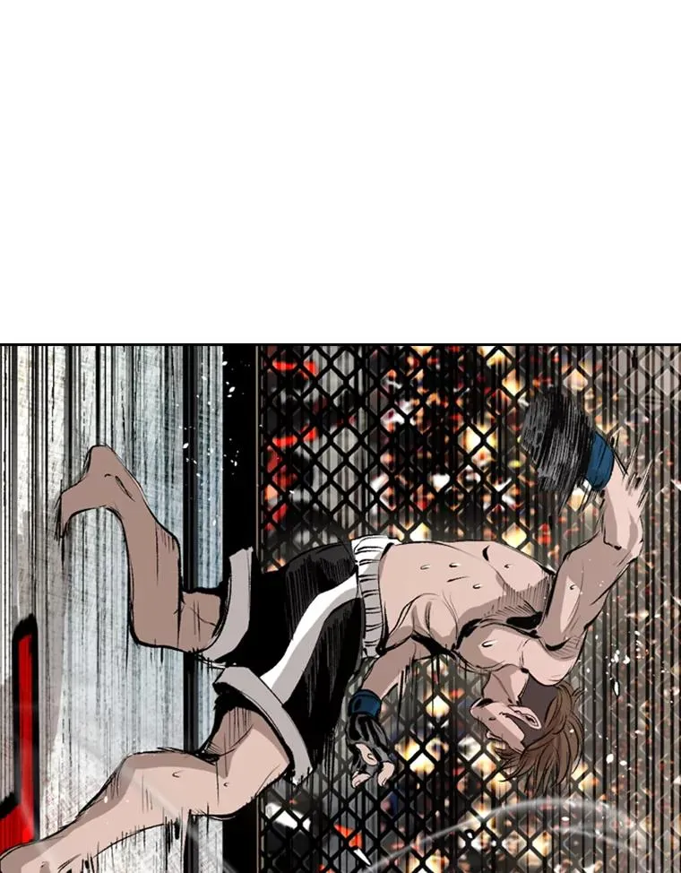 152.柔术对抗泰拳 第47页