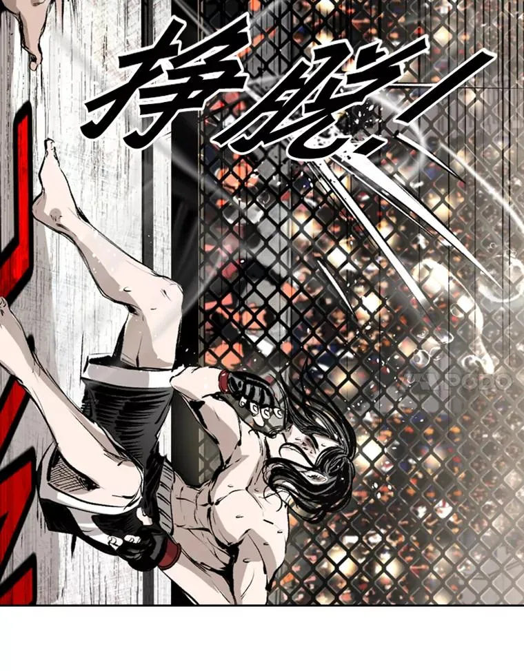 152.柔术对抗泰拳 第48页