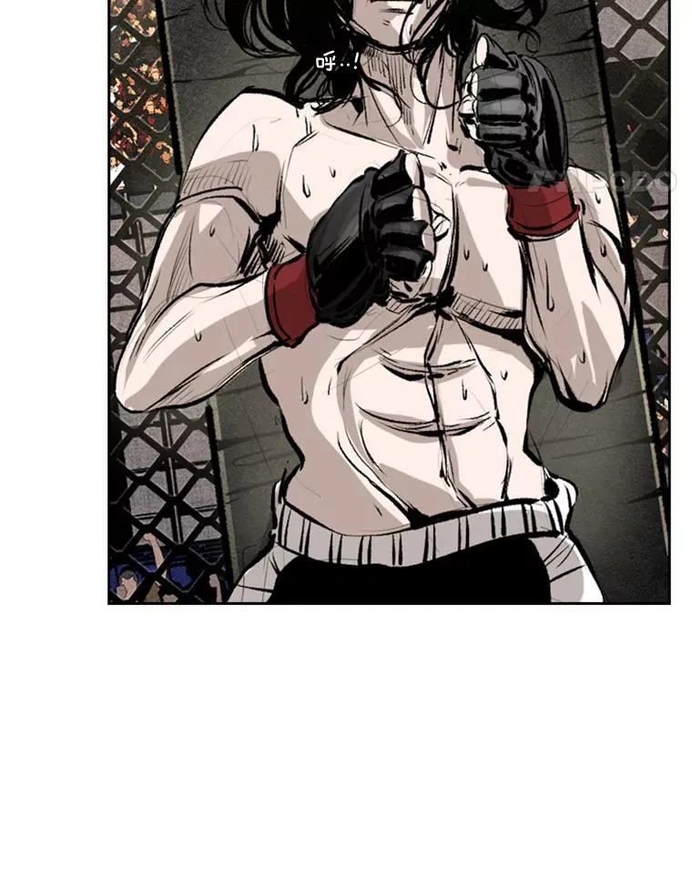 152.柔术对抗泰拳 第65页