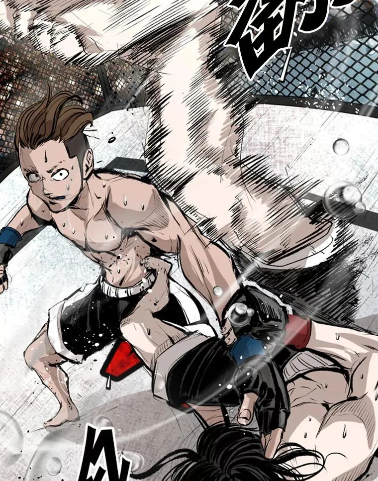 152.柔术对抗泰拳 第83页