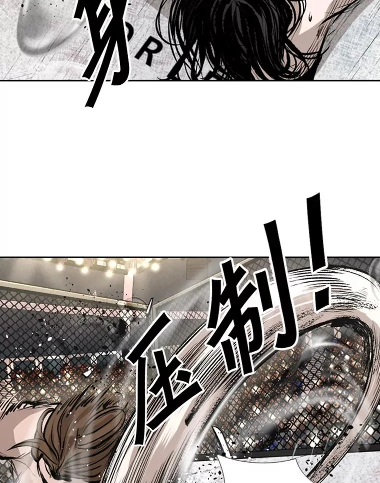 152.柔术对抗泰拳 第84页
