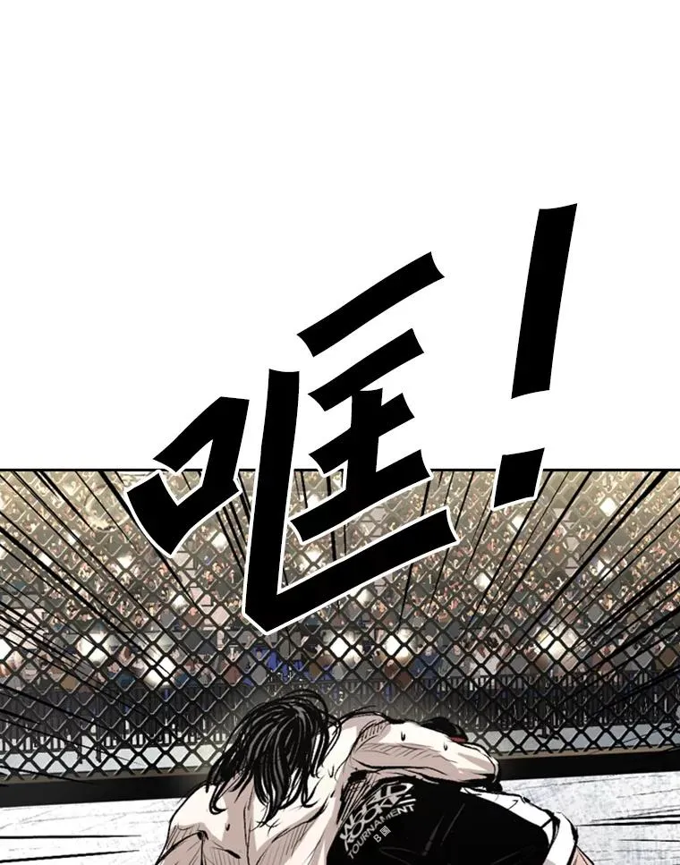 152.柔术对抗泰拳 第86页