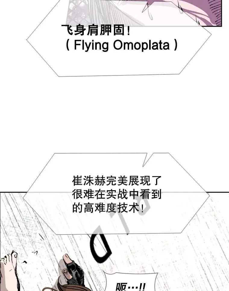 152.柔术对抗泰拳 第90页