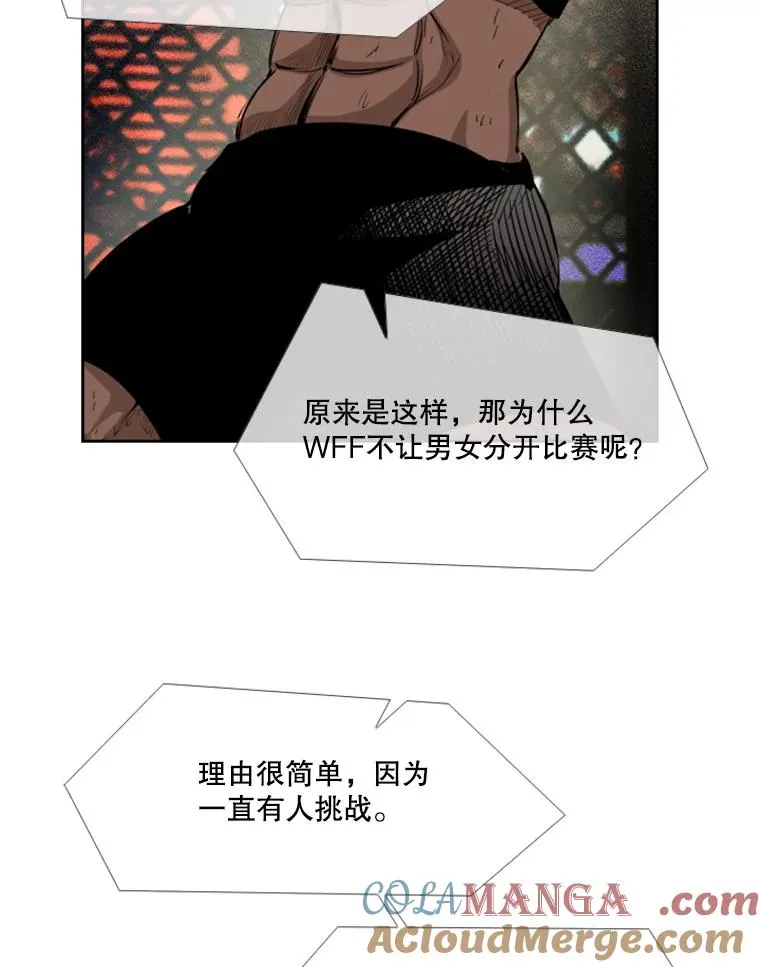 153.女王马蜂 第17页
