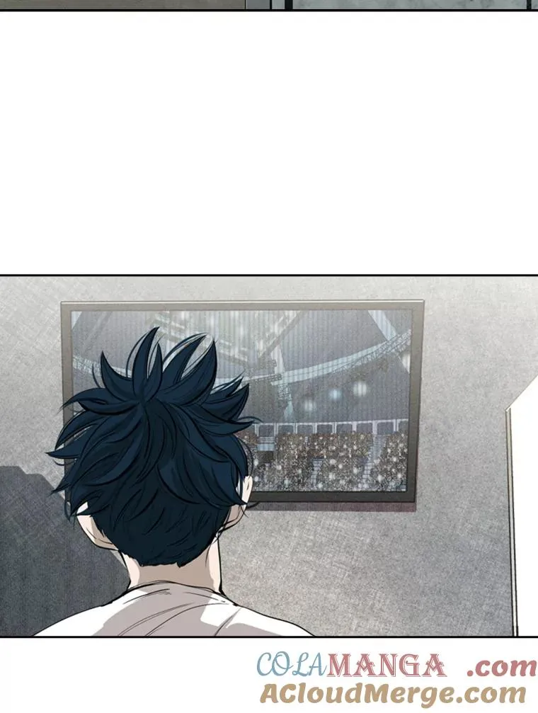 153.女王马蜂 第29页