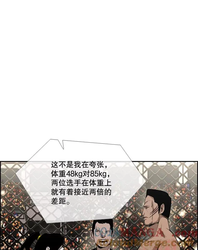 153.女王马蜂 第37页