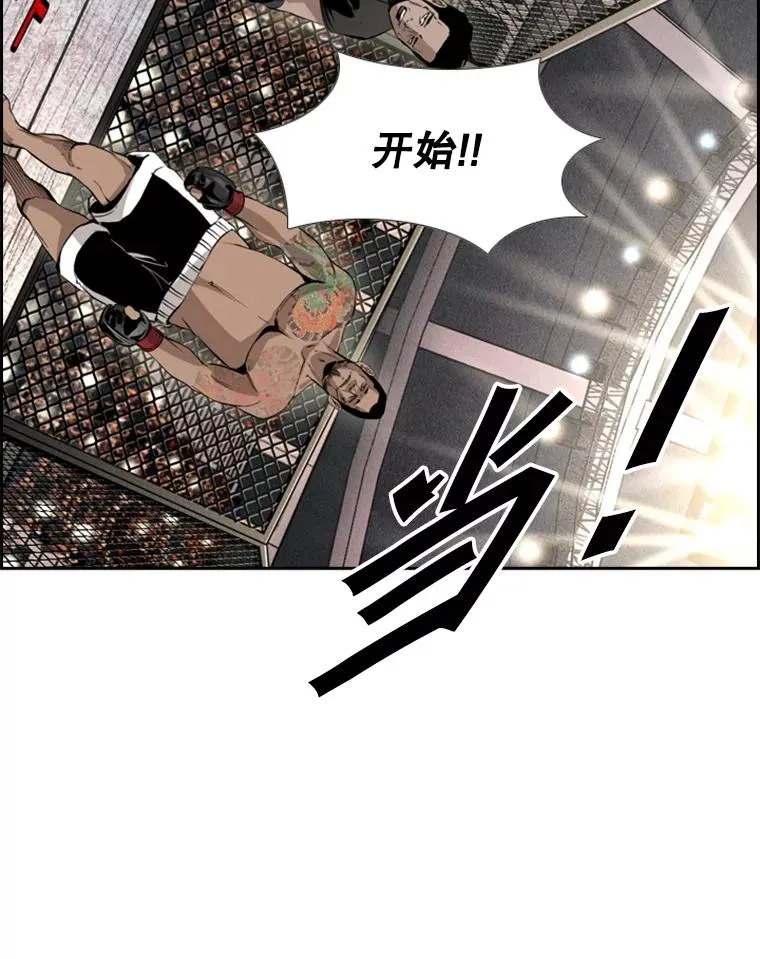 153.女王马蜂 第43页
