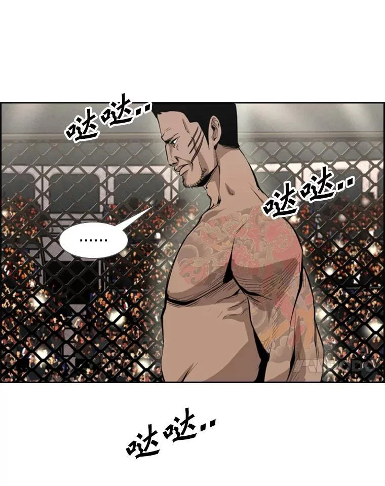 153.女王马蜂 第44页