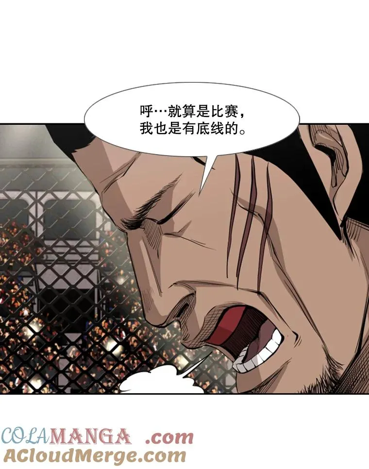 153.女王马蜂 第45页