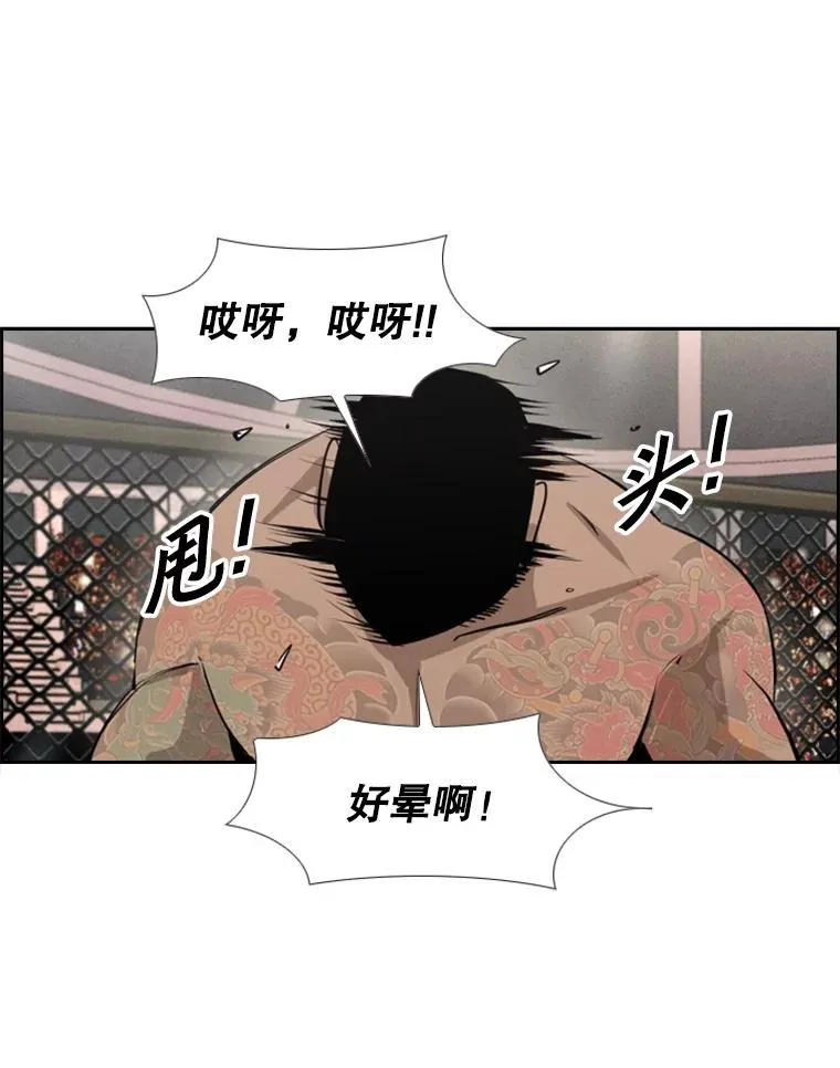 153.女王马蜂 第56页
