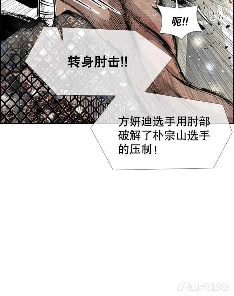 153.女王马蜂 第95页