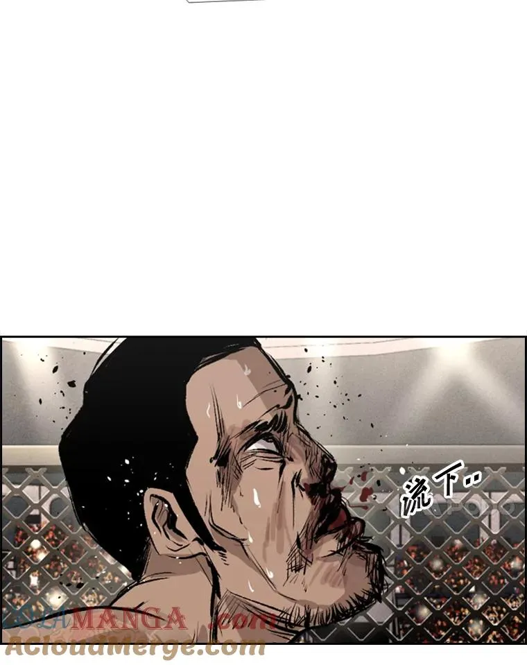 153.女王马蜂 第101页