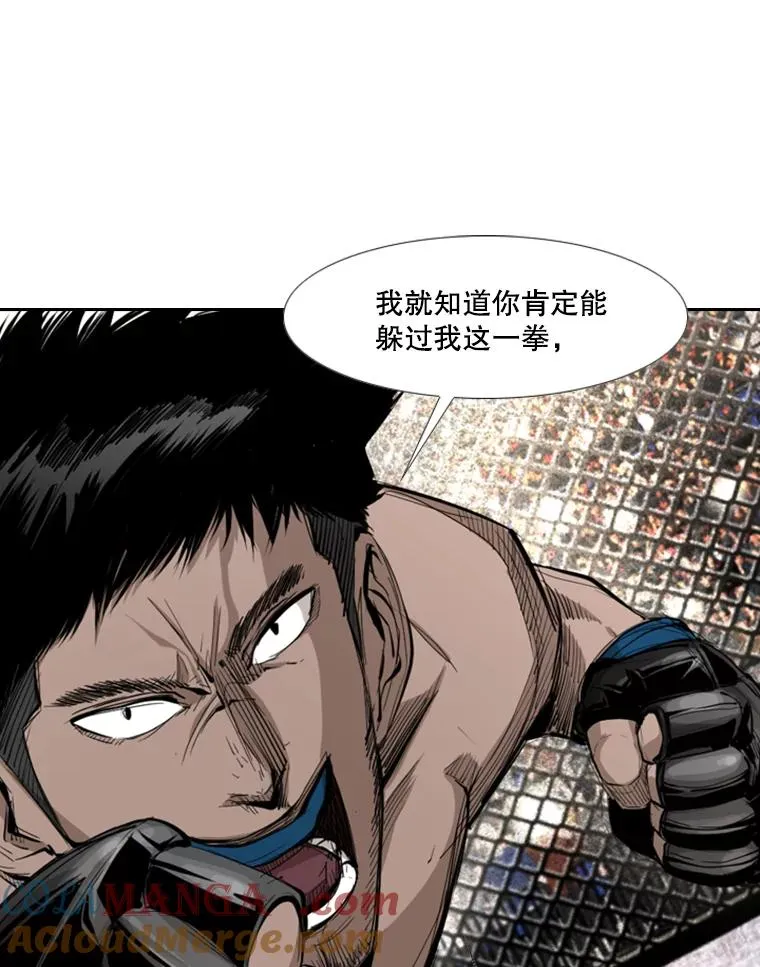 166.好戏上演 第13页