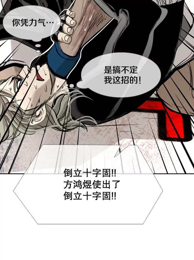 177.胜利和失败 第46页