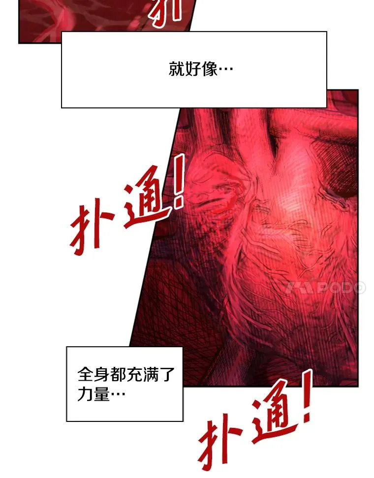 186.新纪录 第11页