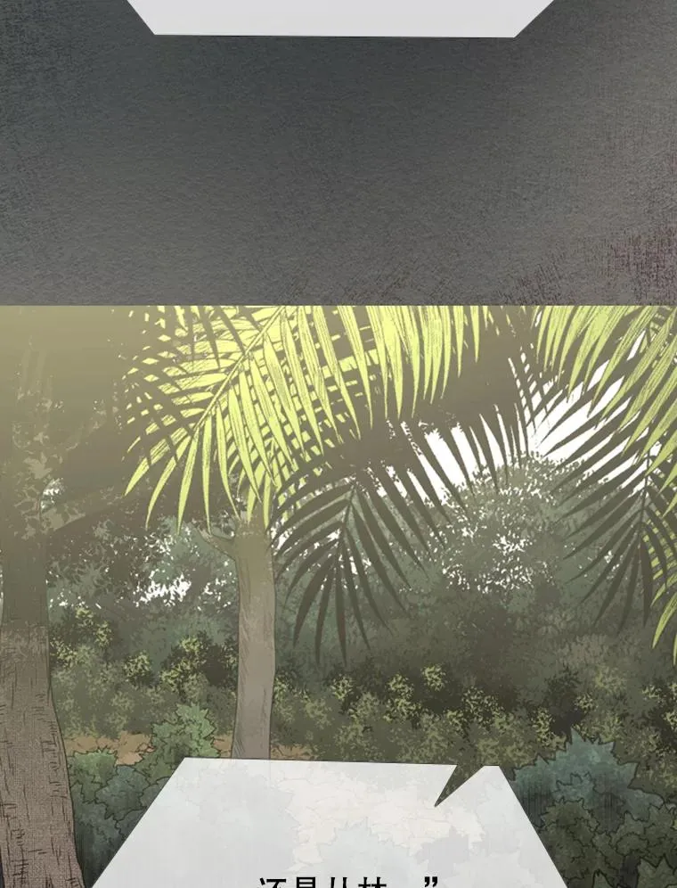 186.新纪录 第35页
