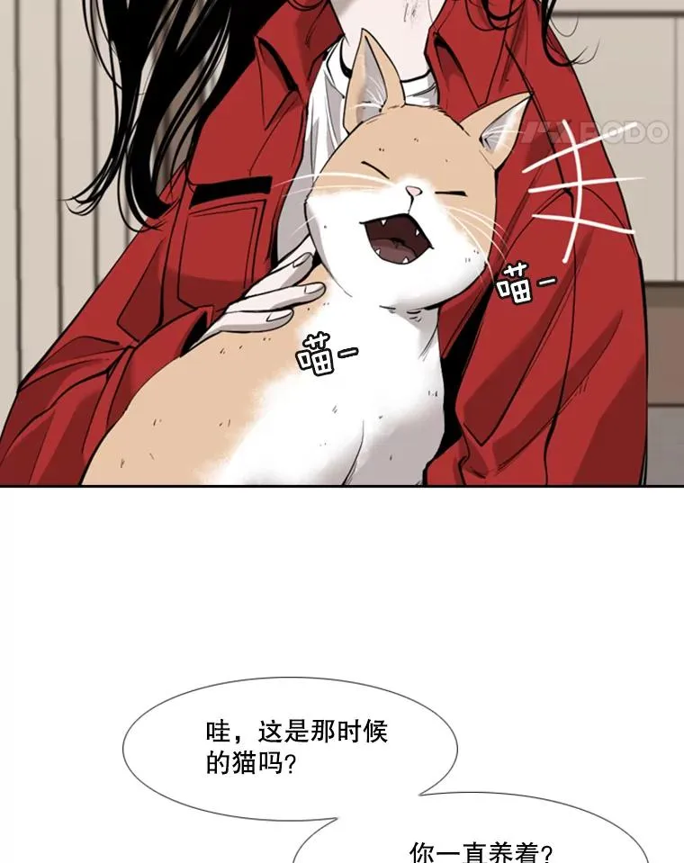 191.弃赛 第78页