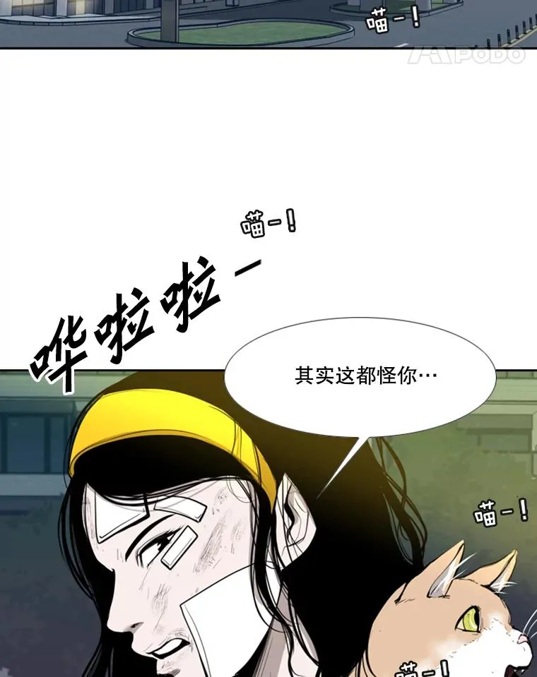 191.弃赛 第95页