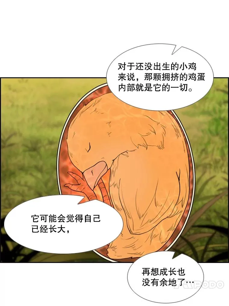 200.恭喜你破壳而出 第31页