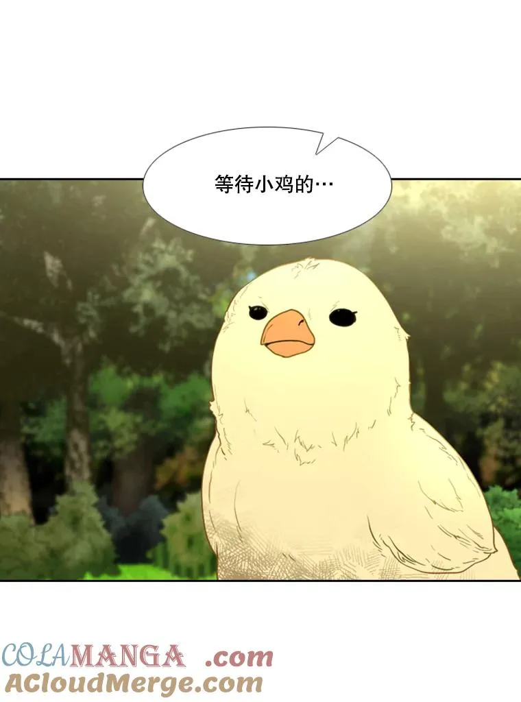 200.恭喜你破壳而出 第33页