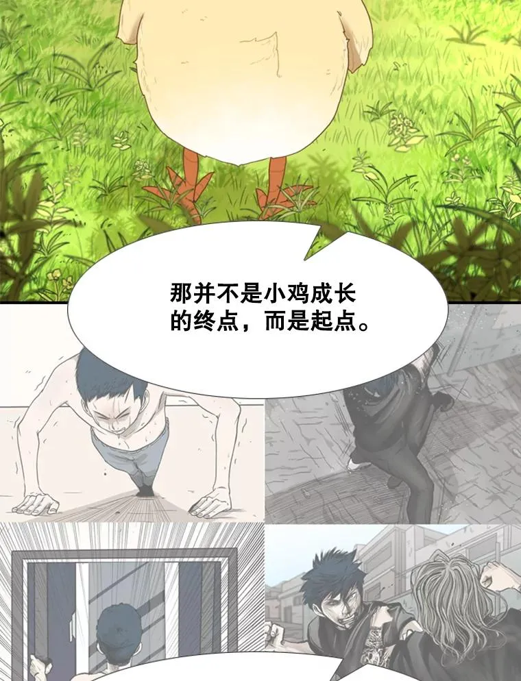 200.恭喜你破壳而出 第36页
