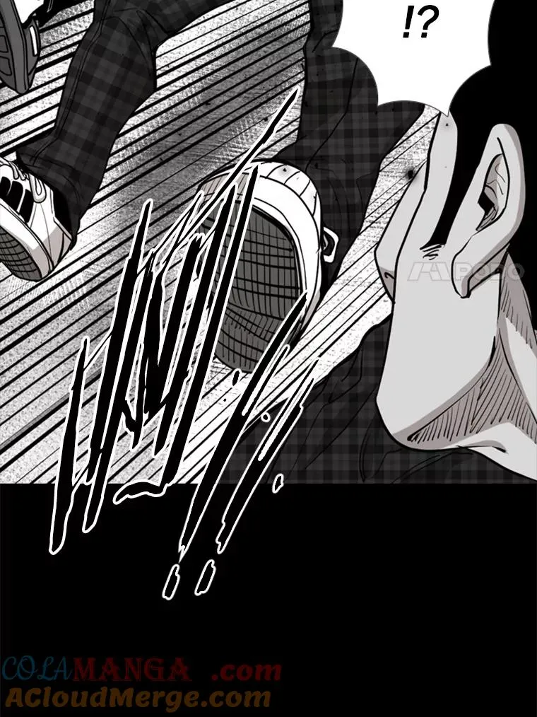 210.虎狼相争（3） 第41页