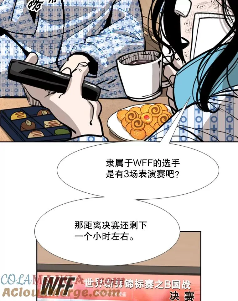 219.总决赛倒计时 第97页