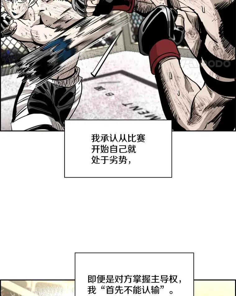 221.短剑和长矛 第66页