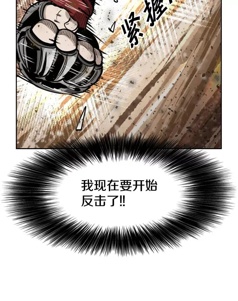 221.短剑和长矛 第95页