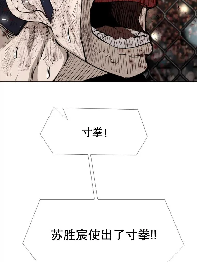 221.短剑和长矛 第110页