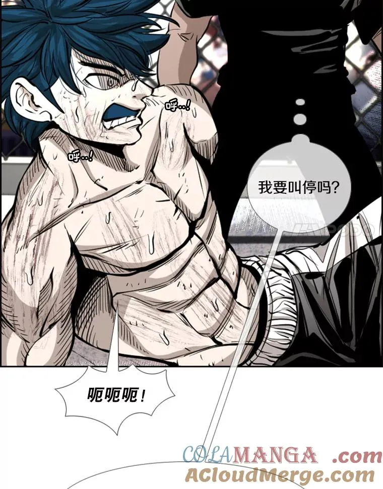 223.两条鲨鱼 第61页