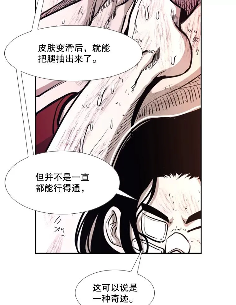 223.两条鲨鱼 第79页