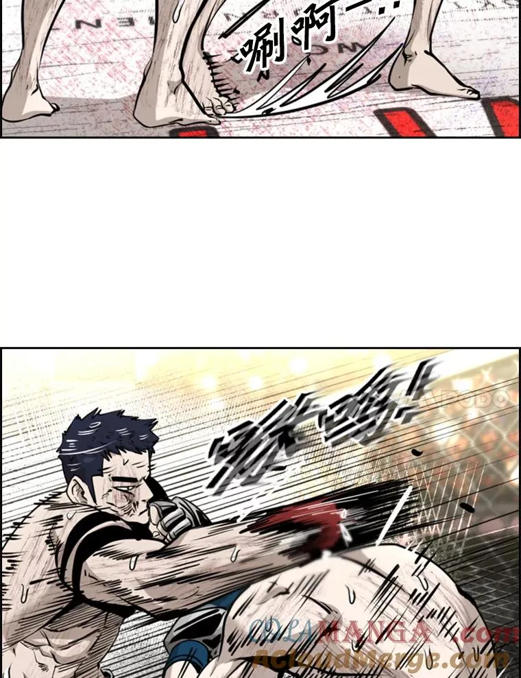 223.两条鲨鱼 第117页