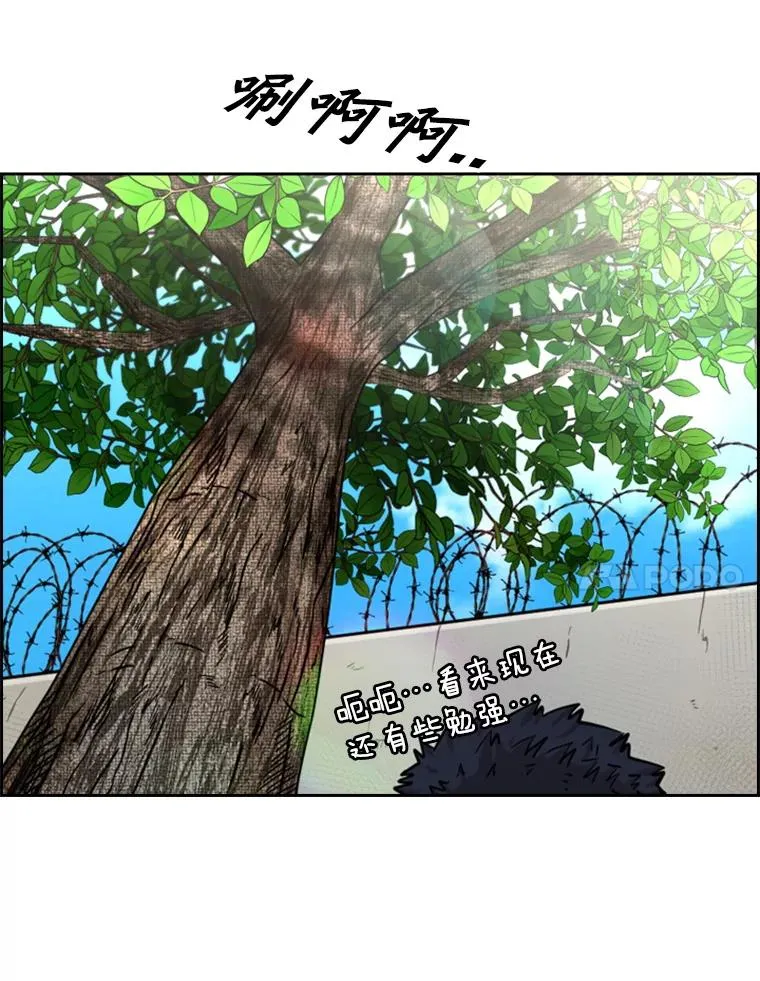 226.恭喜你，冠军！ 第74页