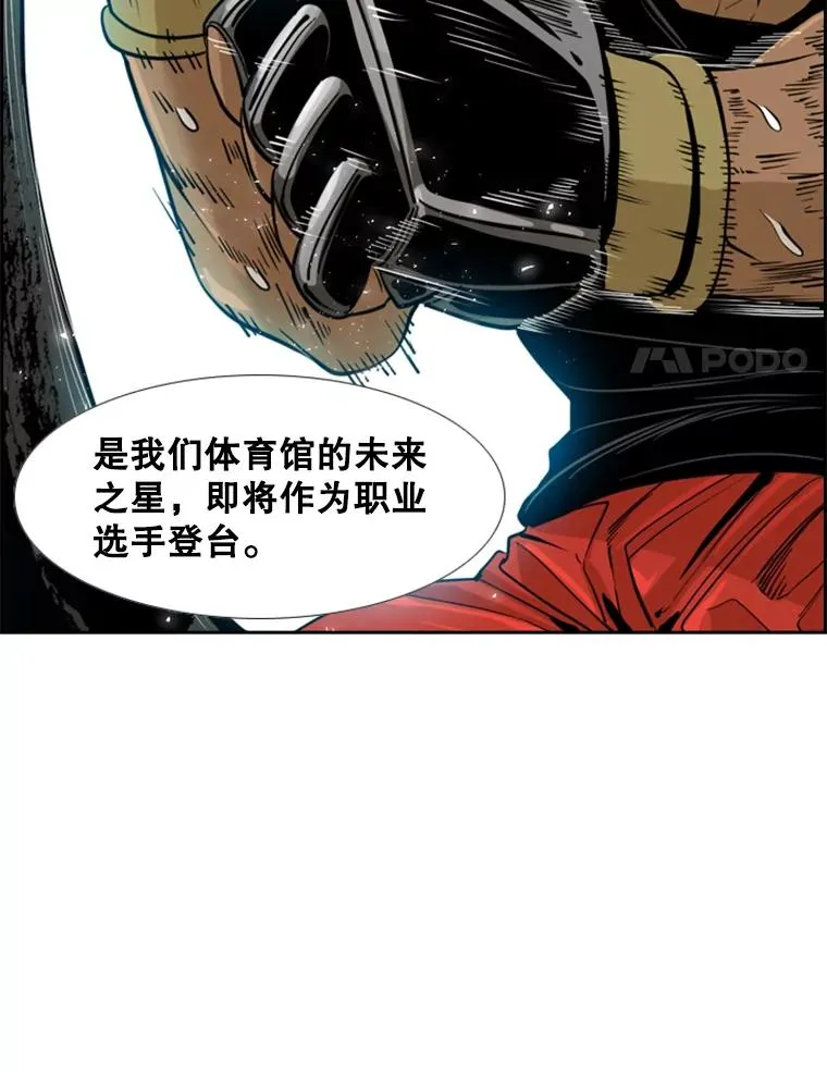 230.亨利·佩西翁 第15页