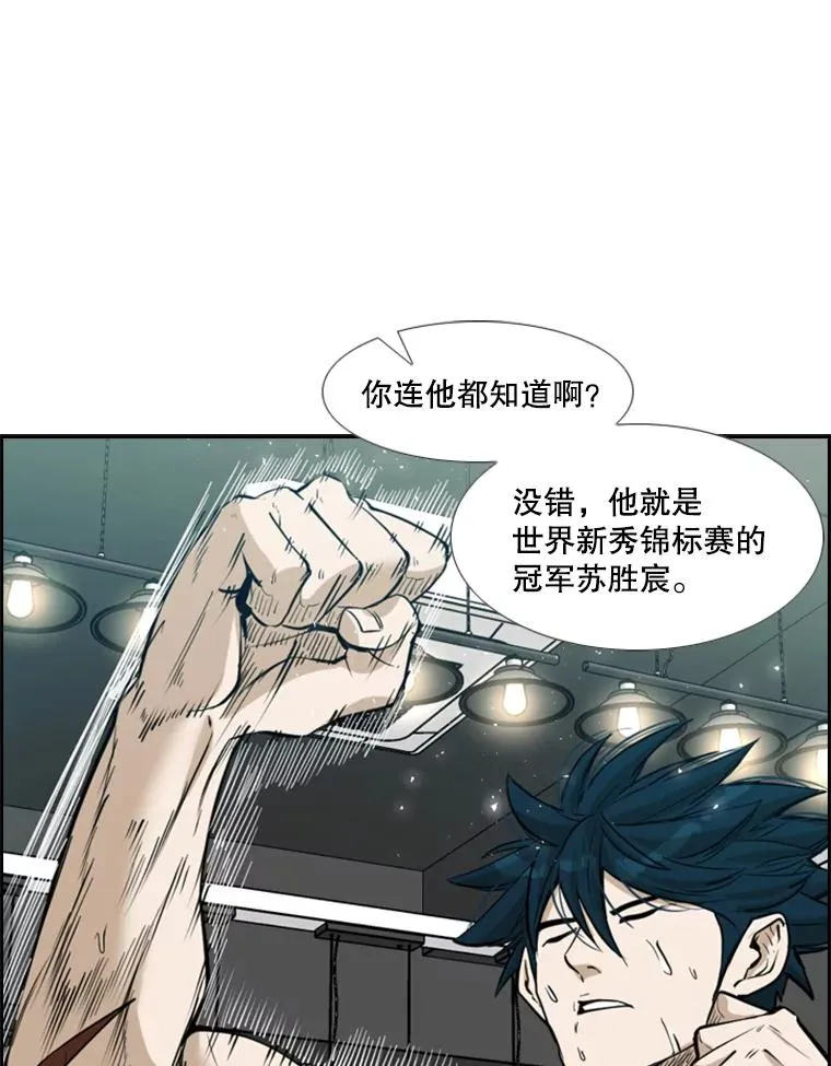 230.亨利·佩西翁 第115页