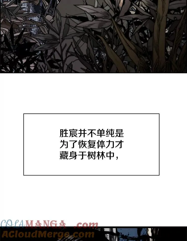 240.林中作战 第41页