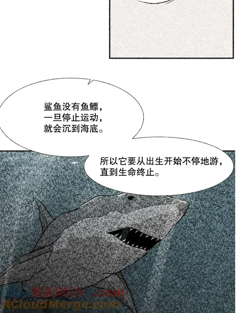 244.职业赛首秀 第73页