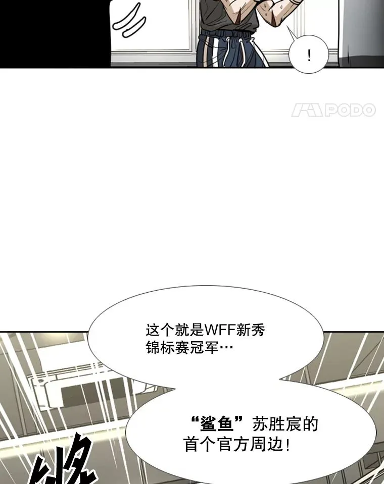 244.职业赛首秀 第88页