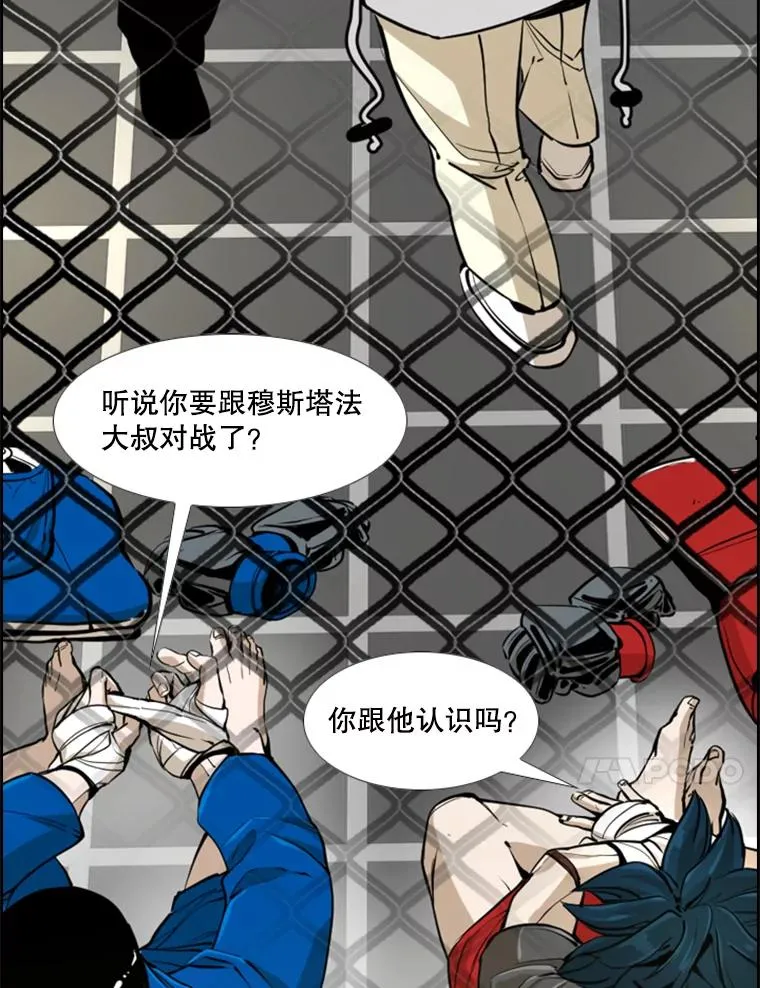 245.对战训练 第11页