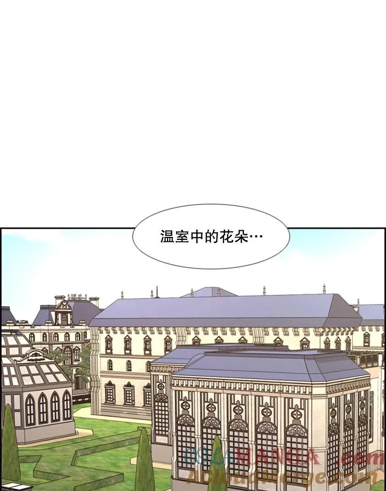 246.天才与天才的对战 第61页