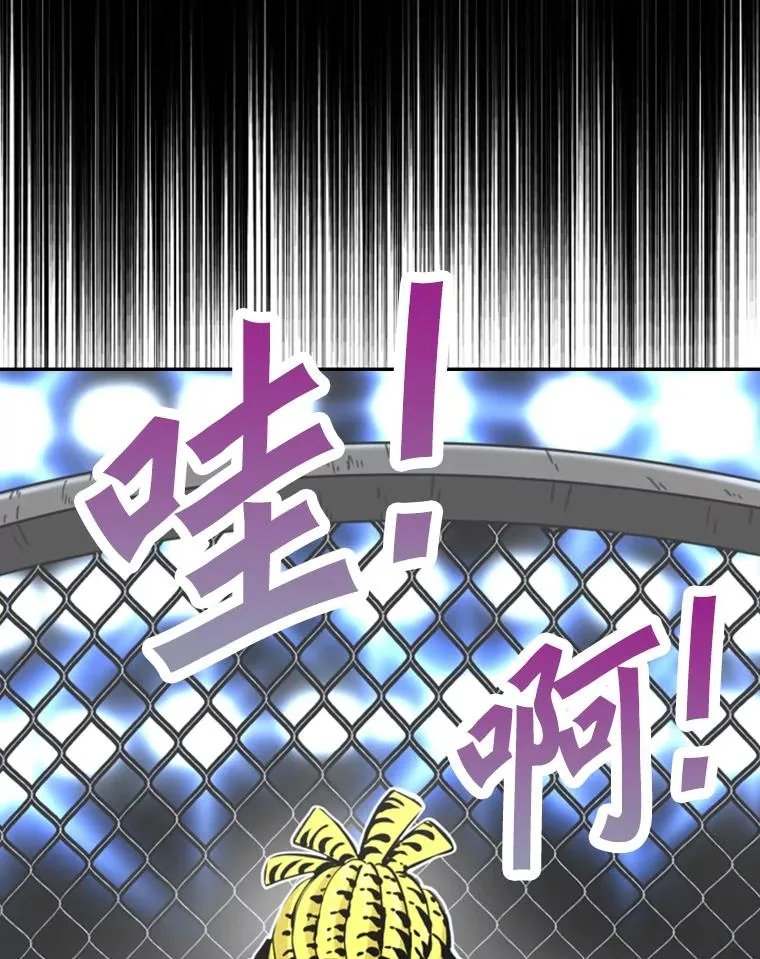 248.TKO胜 第16页